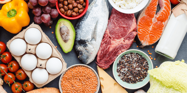 Nutrition Plan