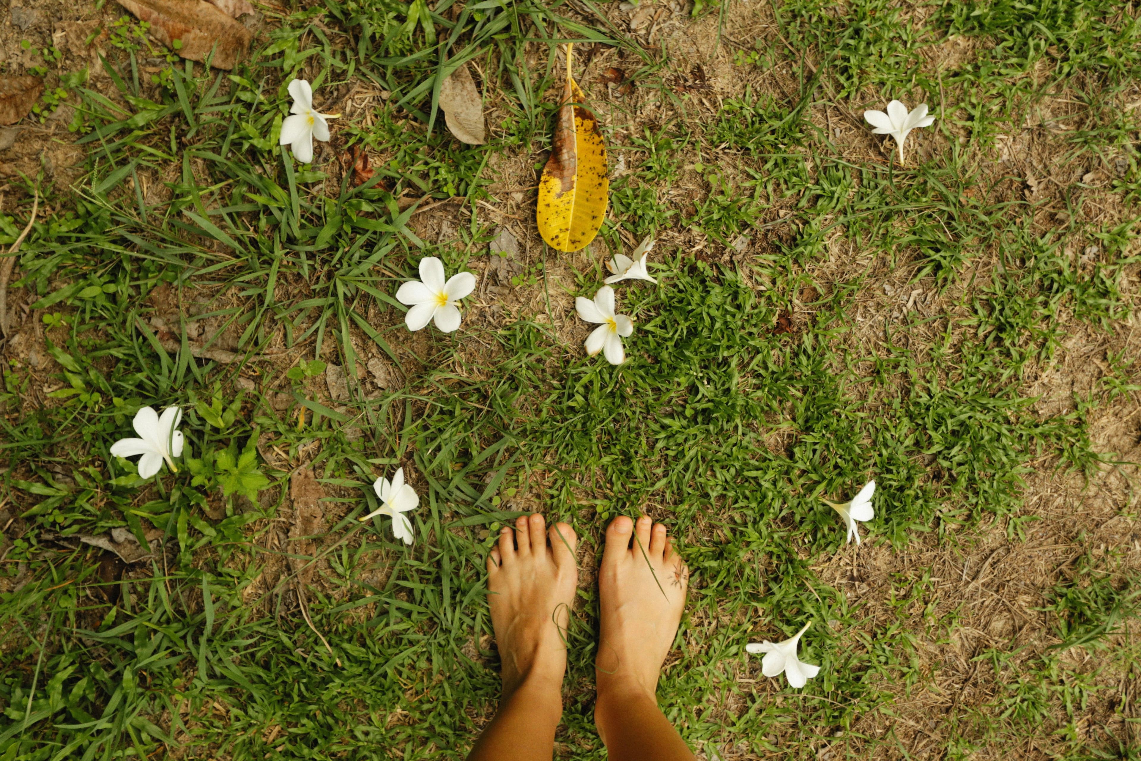 Grounding & Earthing